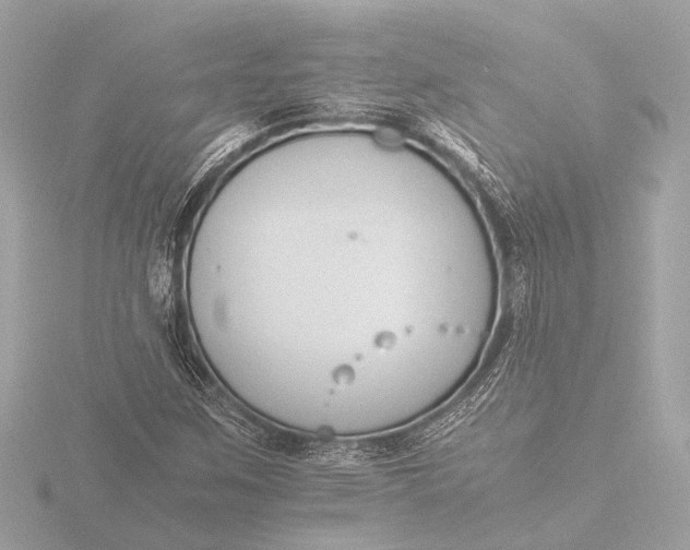 X0000116391259200912231102