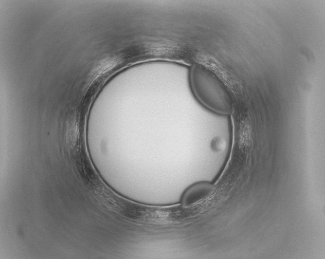 X0000116391261200912231102