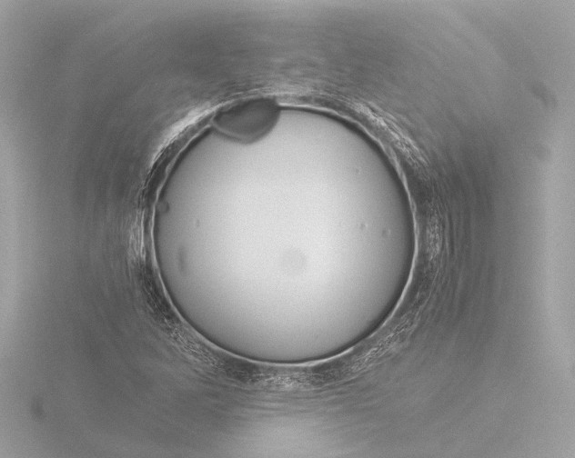 X0000116391262200912231102