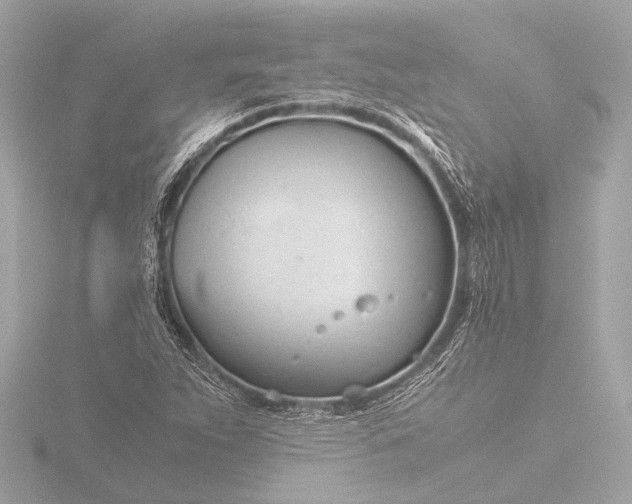 X0000116391263200912231102