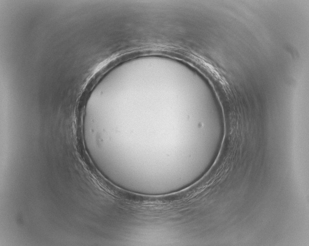 X0000116391264200912231102