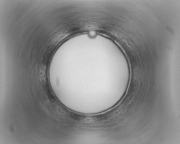 X0000116391265200912231102