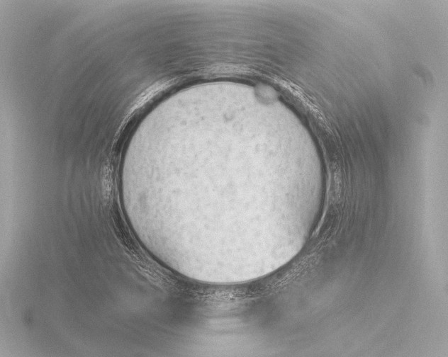 X0000116391266200912231102