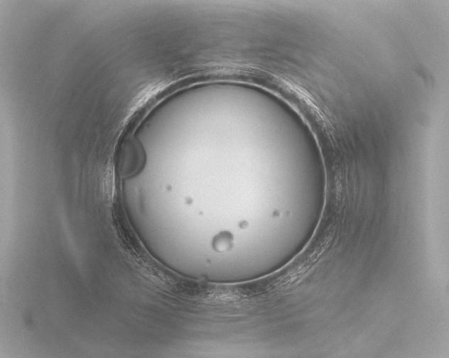 X0000116391267200912231102