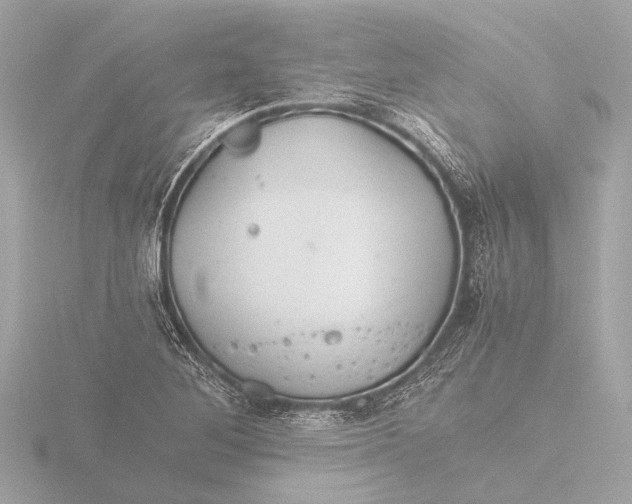 X0000116391268200912231102