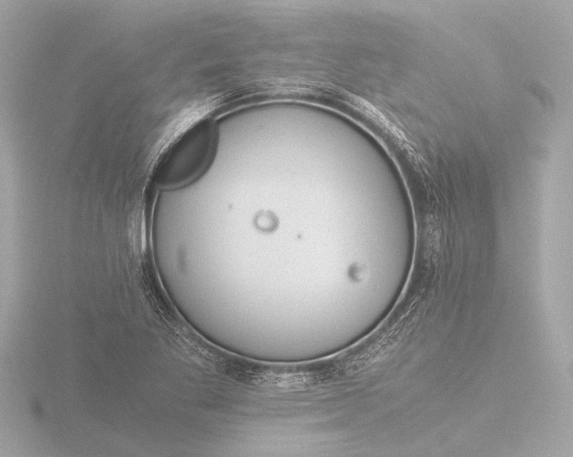 X0000116391269200912231102