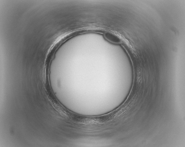 X0000116391270200912231102