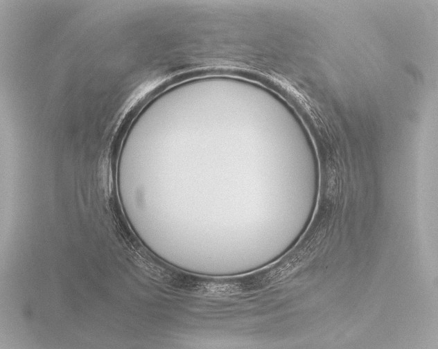 X0000116391271200912231102