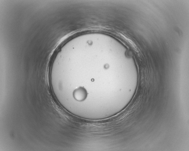 X0000116391272200912231102