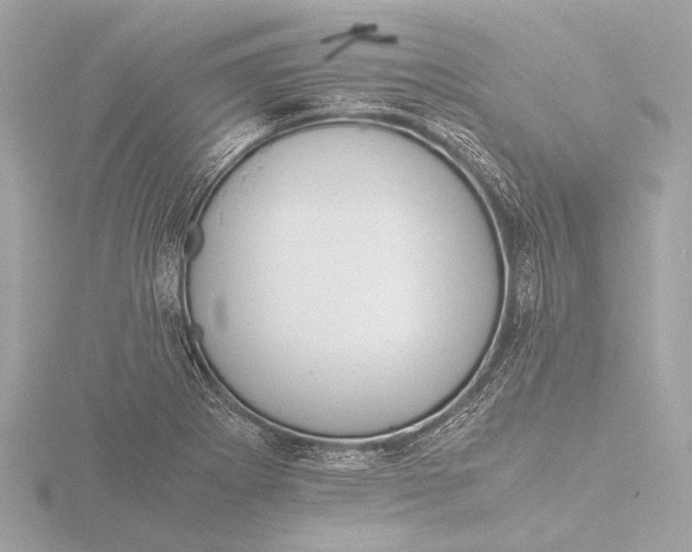 X0000116391273200912231102