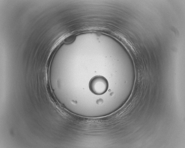 X0000116391274200912231102