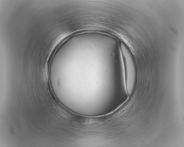 X0000116391275200912231102