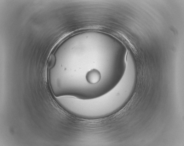 X0000116391276200912231102