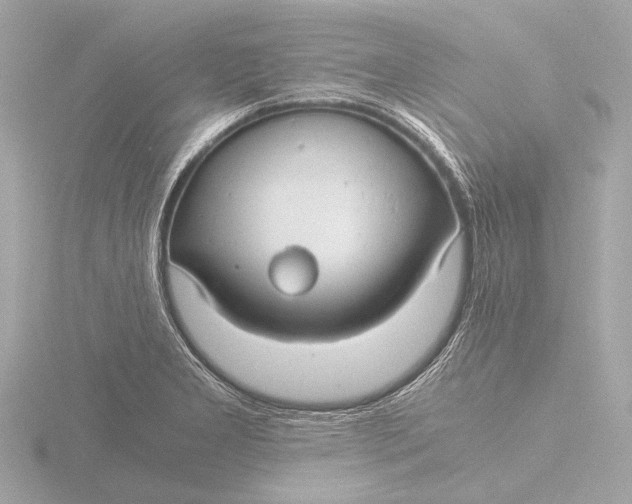 X0000116391277200912231102