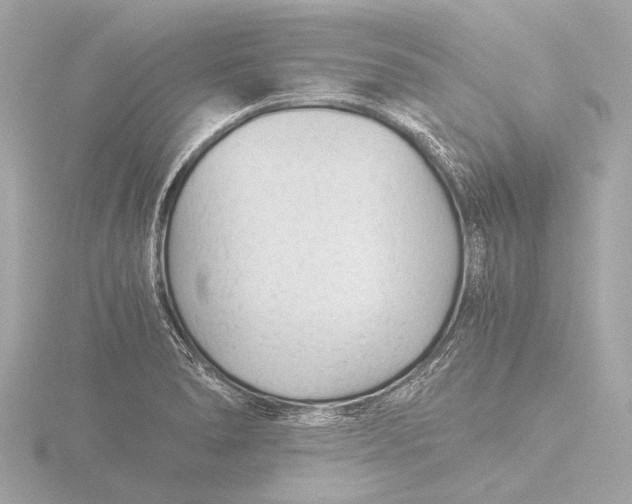 X0000116391278200912231102