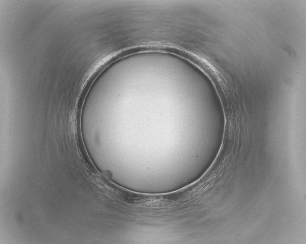 X0000116391279200912231102