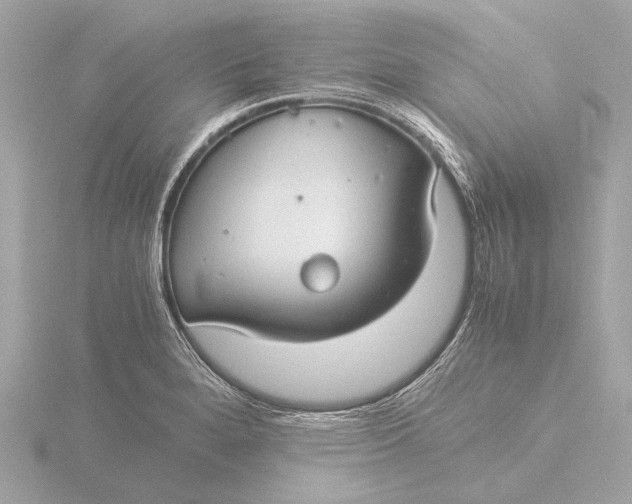 X0000116391280200912231102