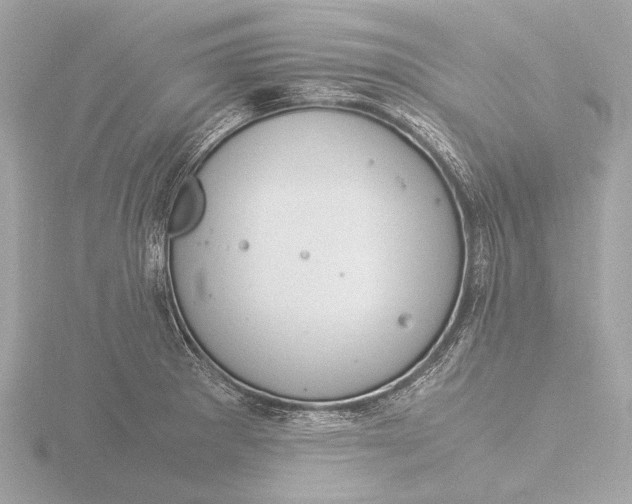 X0000116391281200912231102