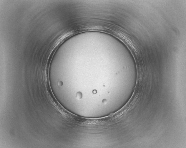 X0000116391282200912231102