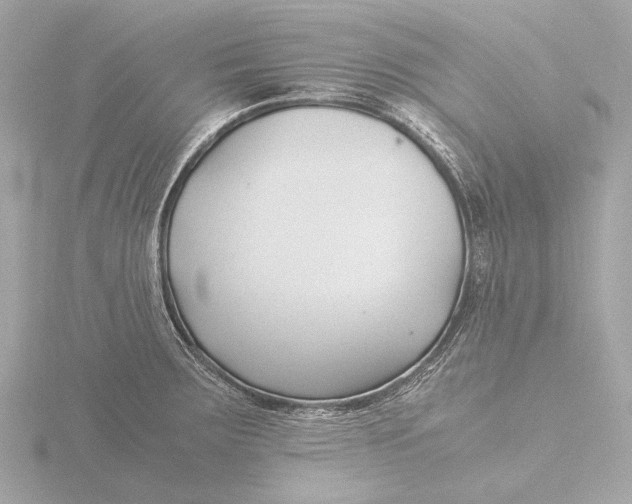 X0000116391283200912231102