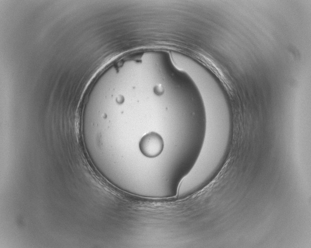 X0000116391284200912231102