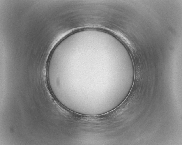 X0000116391287200912231102