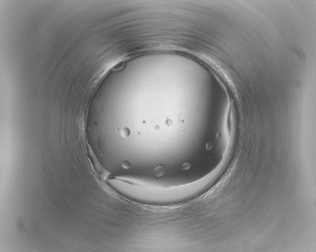 X0000116391289200912231102