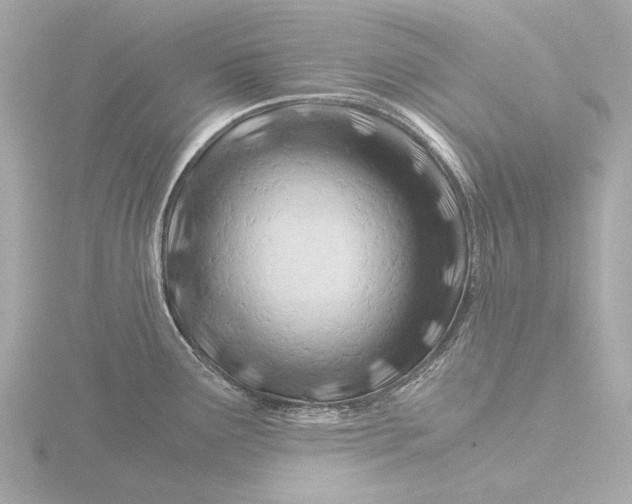 X0000116391291200912231102