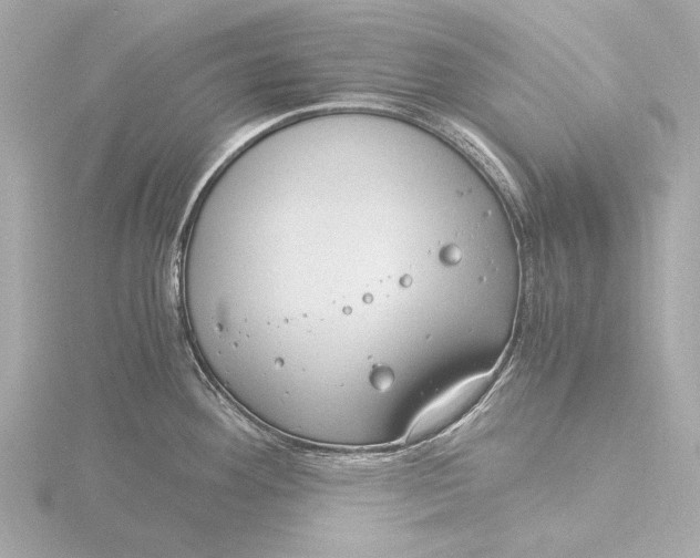 X0000116391292200912231102