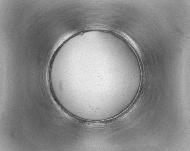 X0000116391293200912231102