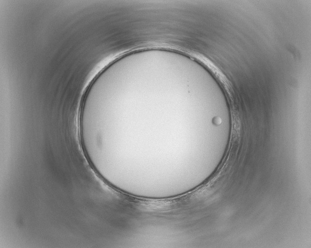 X0000116391294200912231102