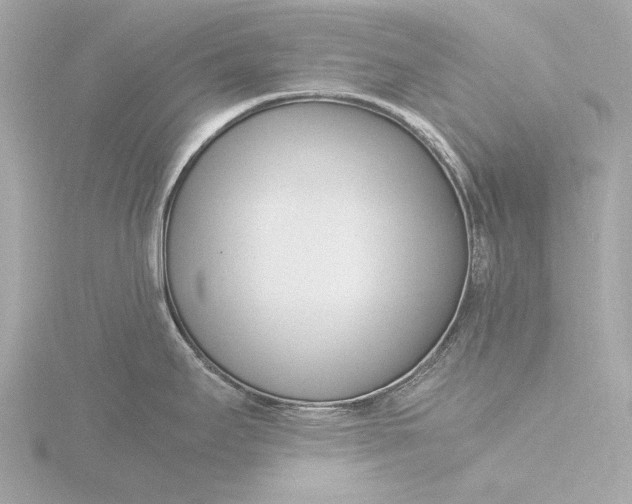 X0000116391295200912231102