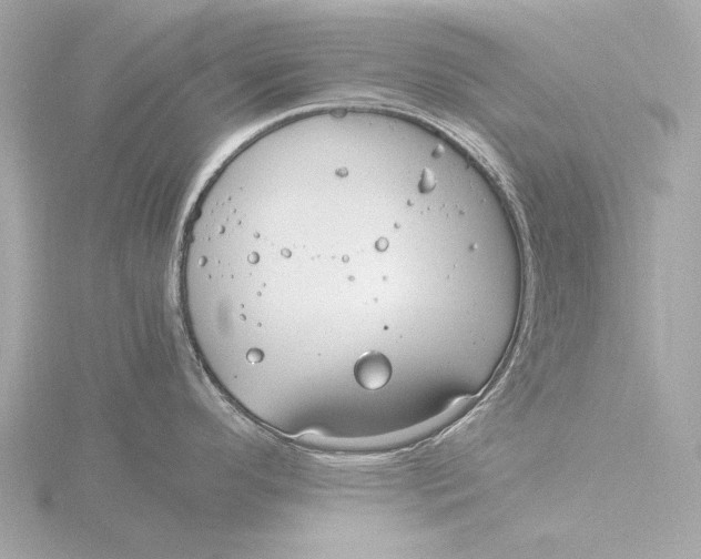 X0000116391296200912231102