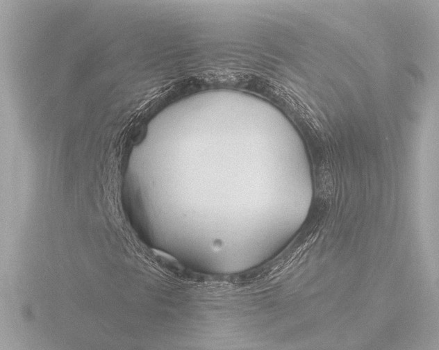 X0000116391297200912231101