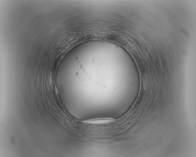 X0000116391298200912231101