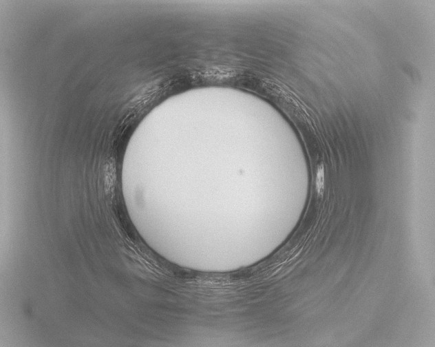 X0000116391299200912231101