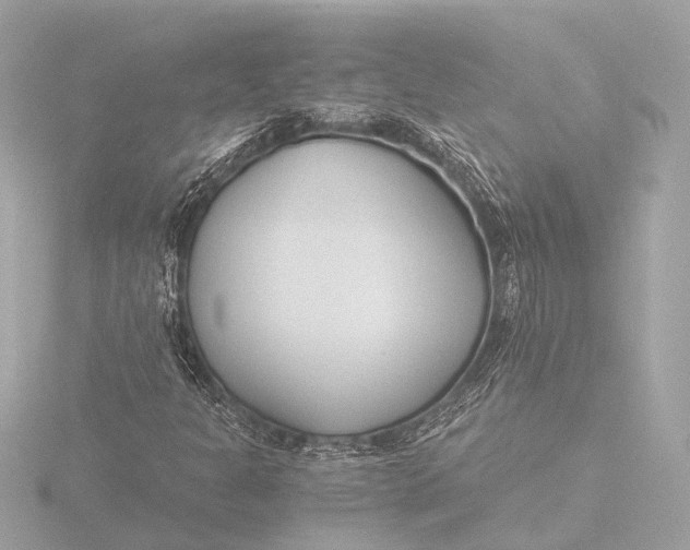 X0000116391301200912231101