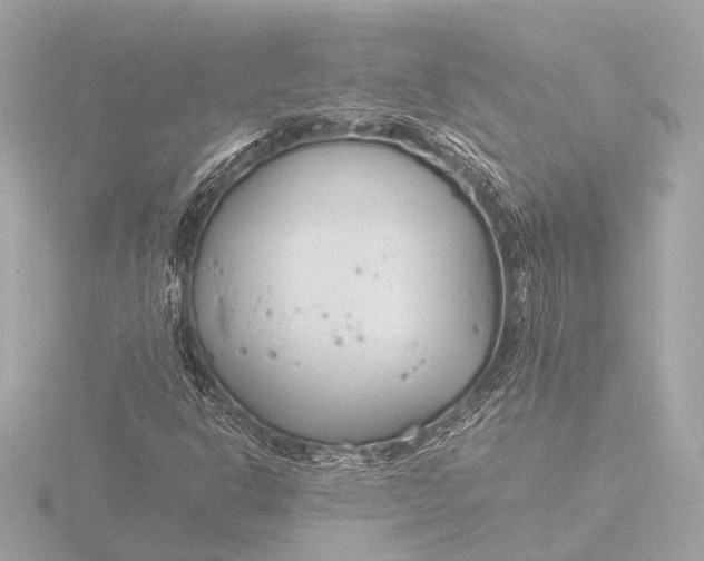 X0000116391302200912231101