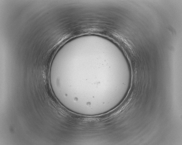 X0000116391305200912231101