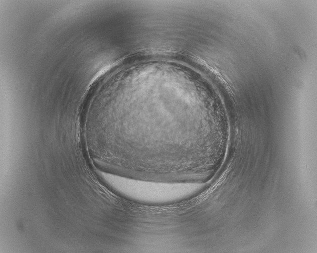 X0000116391306200912231101