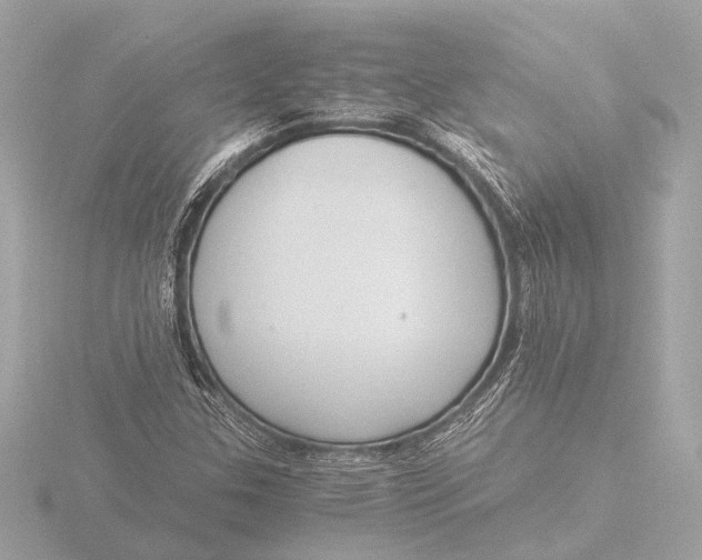 X0000116391307200912231101