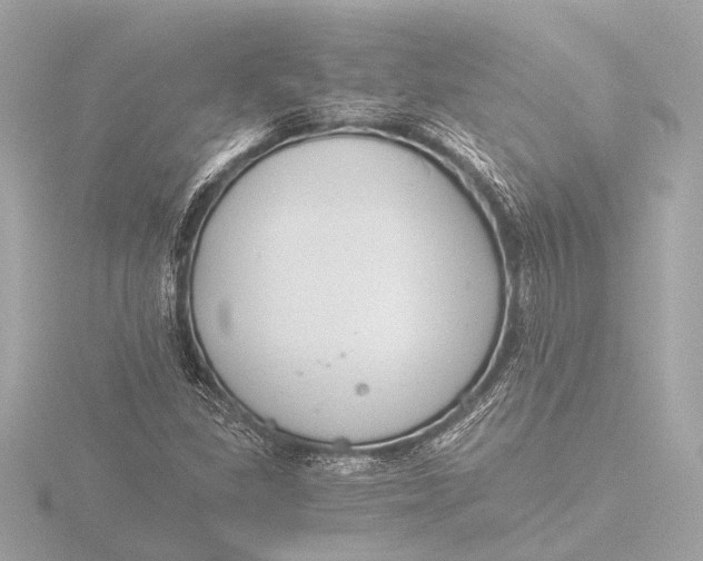 X0000116391309200912231101