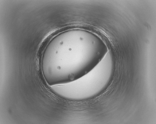 X0000116391310200912231101