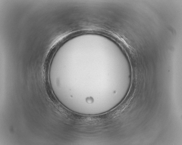 X0000116391311200912231101