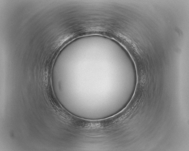 X0000116391313200912231101