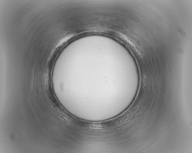 X0000116391315200912231101