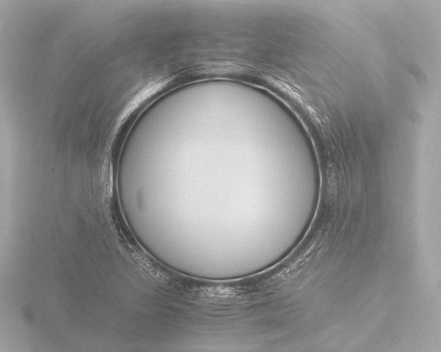 X0000116391317200912231101