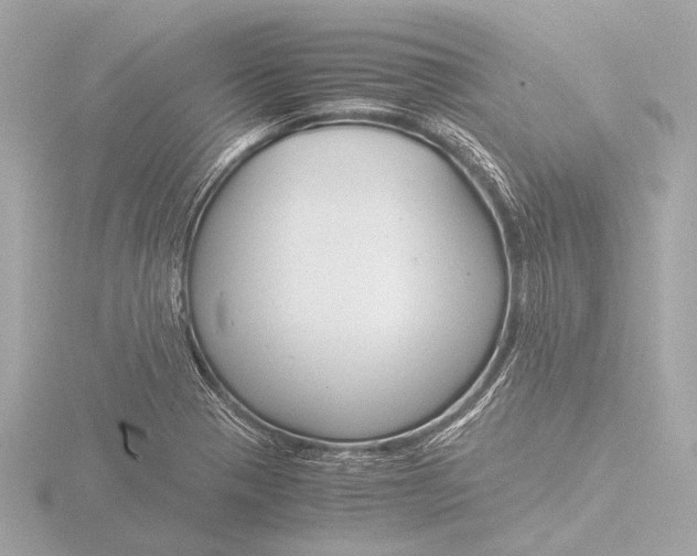 X0000116391321200912231102