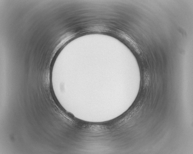 X0000116391322200912231102