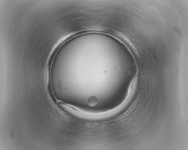 X0000116391323200912231102